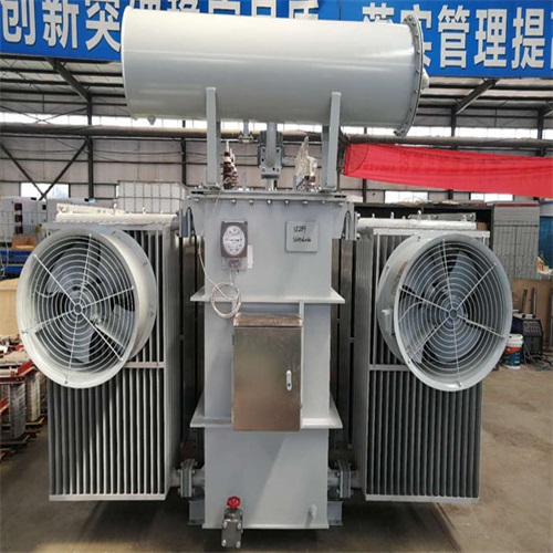 阜南S20-8000KVA变压器